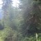 wf_ladir_las-vals_fs-1.2_2018.jpg