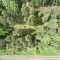 dji_0494.jpg