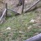 spadlas,-15.05.23-(7).jpg