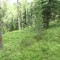 muotta_sils_-(6).jpg