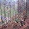 20071031_cholhuttliwald_f4_012.jpg