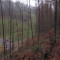 20071031_cholhuttliwald_f4_013.jpg