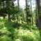 dsc05696.jpg