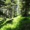 dsc05698.jpg
