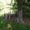 dsc05701.jpg