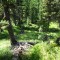 dsc05702.jpg
