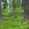 dsc05704.jpg