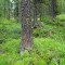 dsc05705.jpg