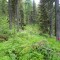 dsc05707.jpg