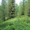 dsc05711.jpg