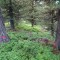 dsc05716.jpg