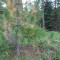 dsc05722.jpg