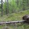 nwr_lasjondas(2).jpg