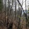 20260414_140822.jpg