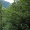 eschlenwald-30.07.15-fst.-d5,-380g,-18mm.jpg