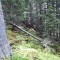 20200609_150039.jpg