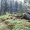20200609_150055.jpg
