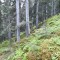 20200609_150232.jpg