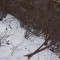wf_suraua_sorts_fs-8.1_2019_unbekannt.jpg