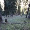 chanfourns_f2.9.jpg