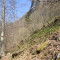 20210423_eschlenwald_e3_02.jpg