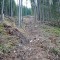 2012_fotodokumentation_wf1_1-1a.jpg