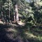 wf_boschgrass_fst_2_nr_9.jpg