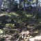 wf_boschgrass_fst_4_nr_29.jpg