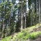 wf_poschiavo_suaser-03.jpg