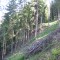 wf_poschiavo_suaser-11.jpg