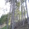 wf_poschiavo_suaser-12.jpg