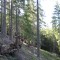 wf_poschiavo_suaser-15.jpg