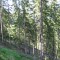 wf_poschiavo_suaser-16.jpg