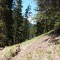 2_west-(2).png