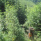 20120725_lachen_17neu.jpg
