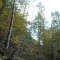 eschlenwald-27.10.2011-fst-b3,-180g,-18mm.jpg