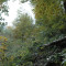 eschlenwald-27.10.2011-fst-b4,-390g,-18mm.jpg