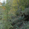 eschlenwald-27.10.2011-fst-d4,-25g,-18mm.jpg