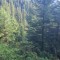wf_ladir_con-da-cauras_fs-3.4_2018.jpg