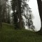 wf_versam_birchegga_fs-1.4_2016.jpg