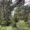 wf_versam_birchegga_fs-2.2_2016.jpg