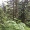 wf_versam_birchegga_fs-2.3_2016.jpg