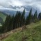 wf_versam_birchegga_fs-3.4_2016.jpg