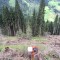wf_versam_birchegga_fs-5.3_2016.jpg