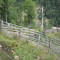 20070817_schwandwald_f3_016.jpg