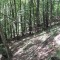 3b.jpg