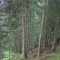 wf_falera_val-da-cafegns_fs-1.2_2012.jpg