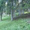 10_photo3.jpg