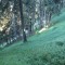 11_photo1.jpg