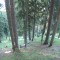 3_photo5.jpg